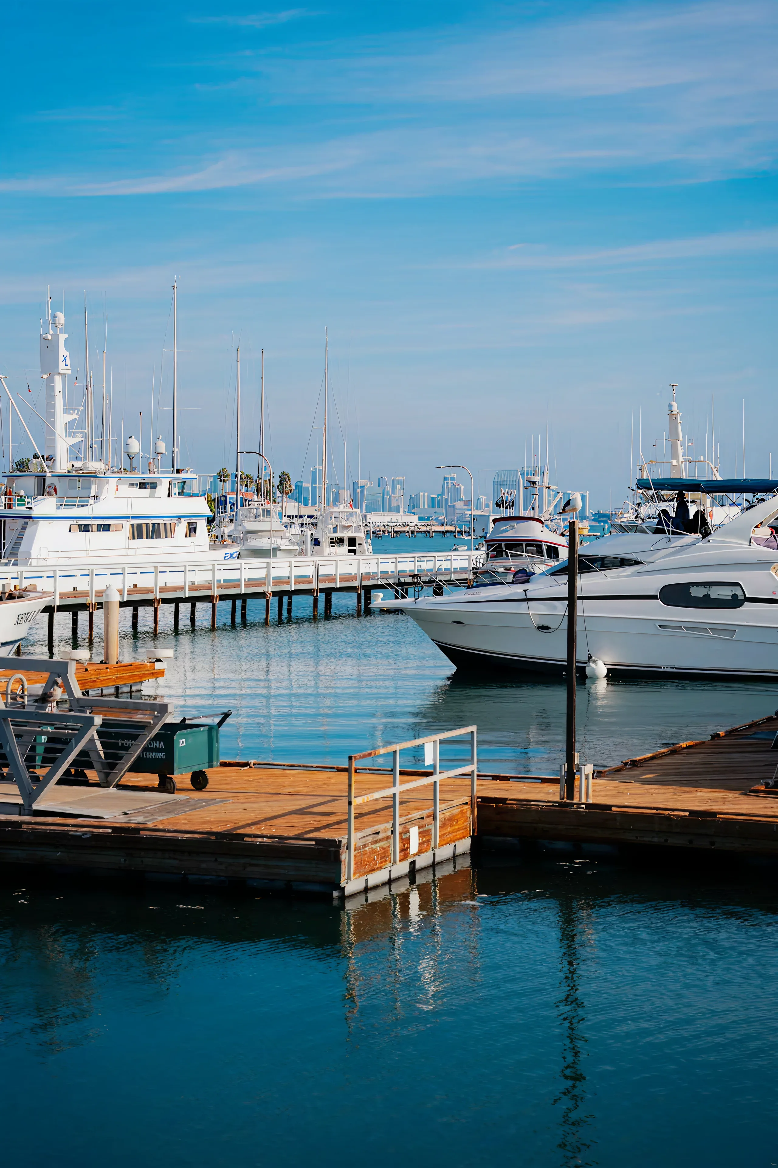 Surveyed vessels moored along the marina